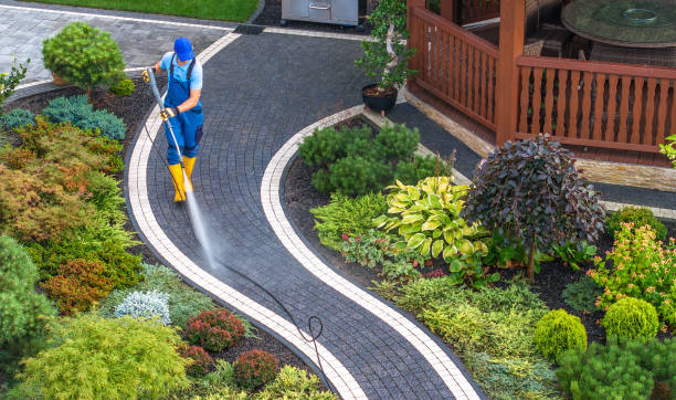 Best Best Pressure Washing Companies  in Louisville, NE