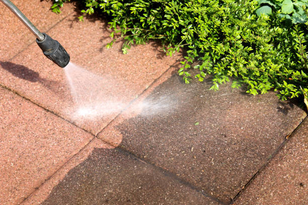Best House Pressure Washing  in Louisville, NE