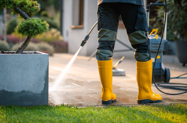 Best Pressure Washing Company Near Me  in Louisville, NE